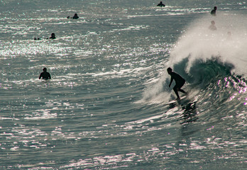 surfers on the water