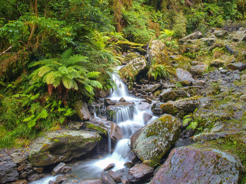 Fototapeta Overview of Waterfall in temperate New zealand rain forest
