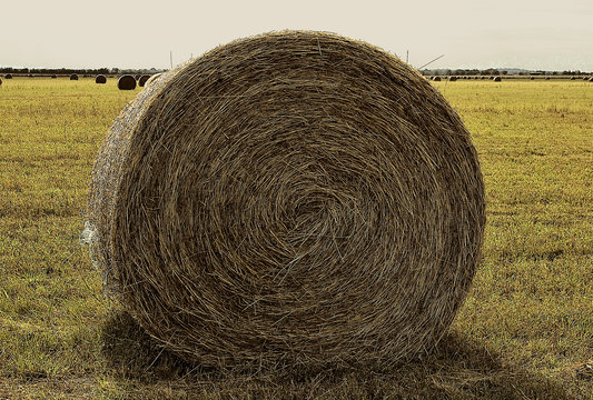 Round hay bail