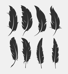 set of old feather for writing