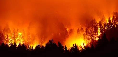 Afwasbaar Fotobehang Vuur bosbrand