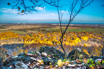 View from Mount Nemo