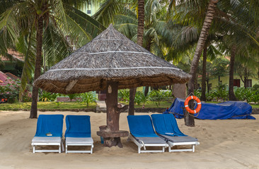 Deckchairs tropical sand beach Palm trees at tropical coast.