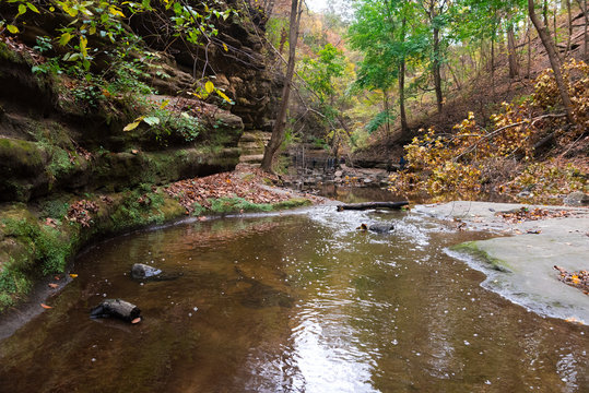 Beautiful Colorful Parks In Illinois Country Side In Autumn