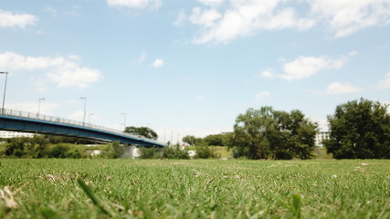 芝生と橋と空