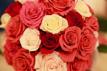 Flower of the red rose displayed in the round shape