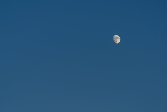 夕方の月