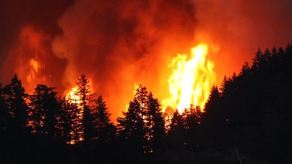 Large forest fire burns the tree covered side of a mountain near Portland Oregon