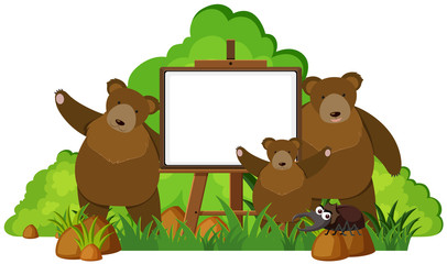 Whiteboard with three grizzly bears