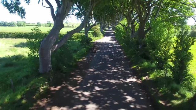 'The Dark Hedges&rsquo; beech trees Game of Thrones location Northern Ireland 
