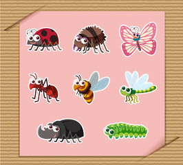 Sticker set of many types of insects