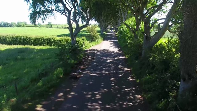 'The Dark Hedges&rsquo; Game of Thrones location Northern Ireland 3