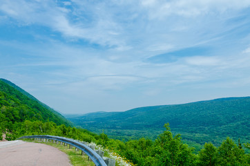 Road along coastline