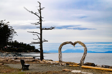 Fototapeta premium Kin Beach Provincial Park, Comox Valley~Vancouver Island, BC, Canada