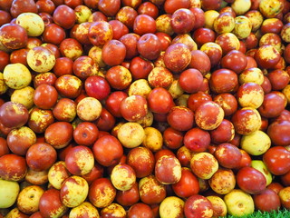 Chinese jujube brown and green