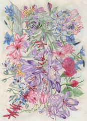 Floral massed blooms pink, purple & blue. Pencil drawing.