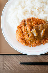 Tonkatsu, Pork cutlet, Katsu kere rice. Top angle