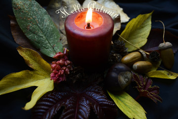 autumn composition of colorful leaves, berries, cones and candles