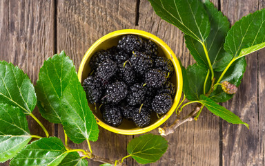 Ripe black mulberry in ceramic bowl