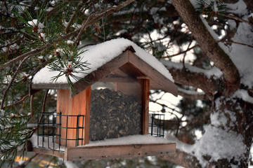 Snow Covered Bird Feeder