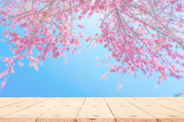 Naklejka na ściany i meble wood table top on blurred background of pink cherry blossom flower. the background for product display template