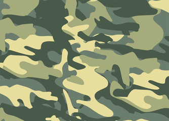 camouflage pattern © loftpearl