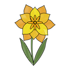 Beautiful flower plant icon vector illustration graphic design