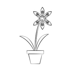 Beautiful flower plant icon vector illustration graphic design