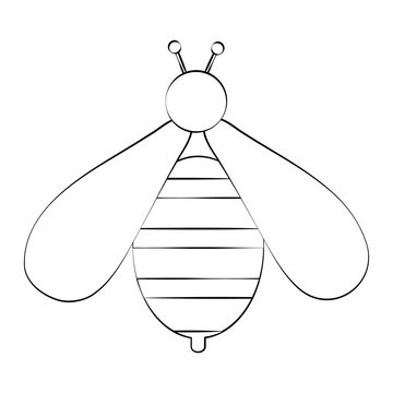 Cute bee symbol icon vector illustration graphic design