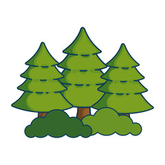 pine forest scene icon