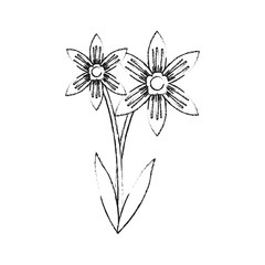 Beautiful flower plant icon vector illustration graphic design