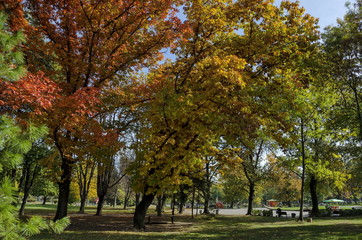 Naklejka premium Popular Zaimov park for rest and walk with autumnal yellow and red foliage, Oborishte district, Sofia, Bulgaria 