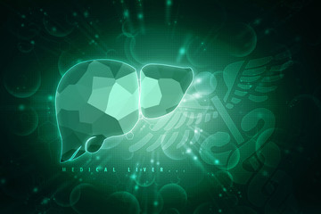 Realistic human liver 2d illustration