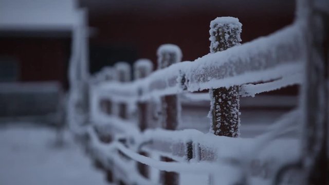 Snow Frozen Fence