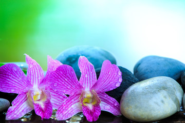zen stone and pink orchid on the wooden table with copy space for text or product