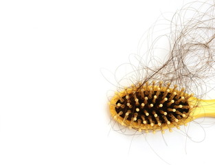Hairs fall in comb isolated on white background,hair loss was seriously problems for everyone concept idea for health