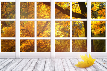 Naklejki  Wnętrze pokoju z ramą okna i żółtym liściem klonu leżącym na drewnianym stole w stylu Shabby Chic. Jesienny słoneczny dzień z jesiennymi drzewami na zewnątrz.