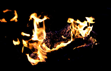 Fire flames on dark background