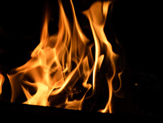 Fire flames on dark background