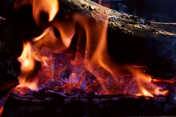 Fire flames on dark background