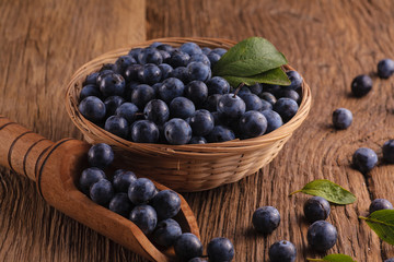 Sloes