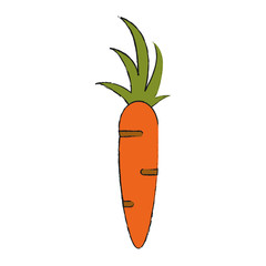 Fresh carrot vegetable Icon vector illustration graphic design