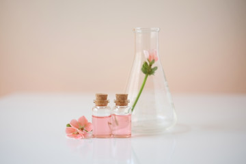 laboratory experiment and research with leaf, oil and ingredient