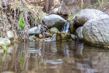 spring among stones