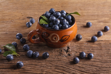 Sloes