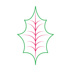 christmas leaf holly natural decoration vector illustration
