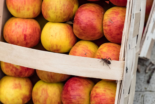 &Auml;pfel im Korb