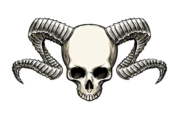 Ram Skull Drawing Photos Royalty Free Images Graphics Vectors