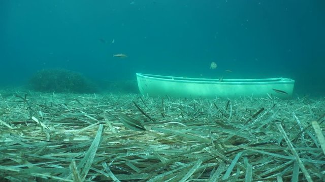 Underwater a small boat sunken on the seabed with leaves of Neptune grass and some fish, Mediterranean sea, Catalonia, Costa Brava, Spain, 60fps
