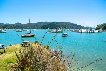 Crédence de cuisine en verre imprimé Nouvelle-Zélande Whangaroa Harbour and marina, Far North, Northland, New Zealand NZ - boats and grassy area for picnic bench